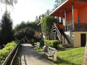 Kamiennogórski